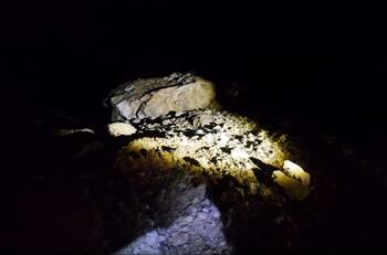 VIDEO: Así ocurrió el derrumbe en la carretera Minatitlán-Villa de Álvarez, hay dos muertos