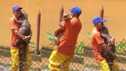 VIDEO: Hombre es captado bailando románticamente con un cocodrilo y se vuelve viral