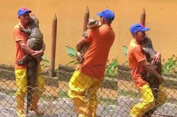 VIDEO: Hombre es captado bailando románticamente con un cocodrilo y se vuelve viral