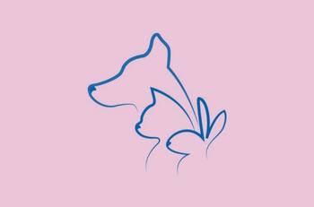 Elige un animal y descubre qué es lo que los demás admiran de ti con este test de personalidad