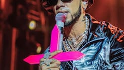 Anuel AA se pone a rezar tras ser golpeado por una bandera que le lanzaron