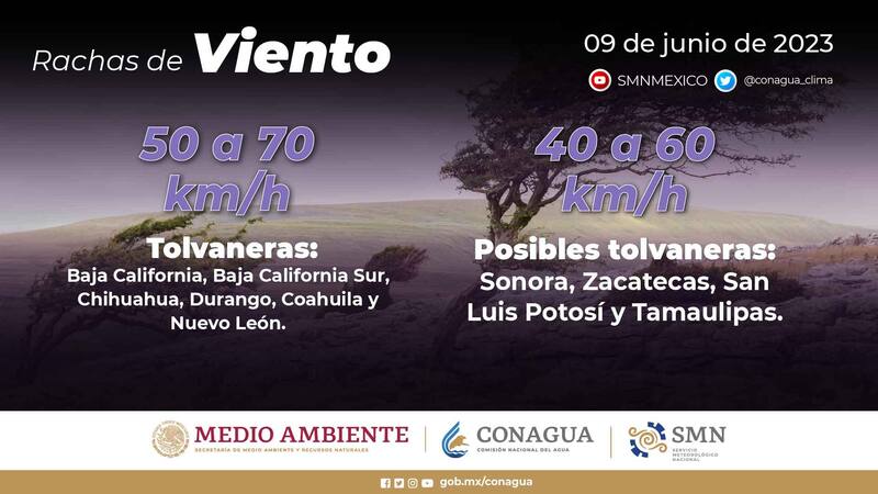 La lluvia estará acompañada de vientos fuertes.