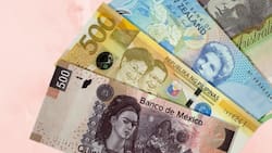 Quiénes fueron las primeras mujeres en aparecer en un billete