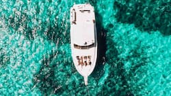 Metaverso: Yate virtual es vendido por 650 mil dólares