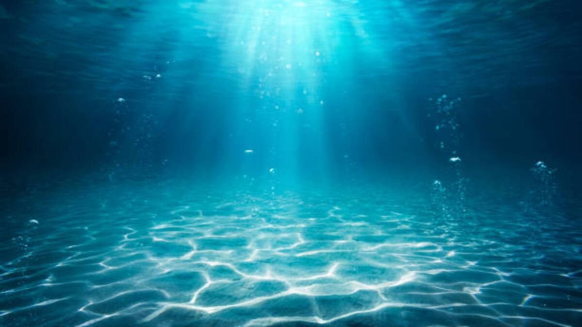Estos son 5 datos curiosos e interesantes sobre el Mar