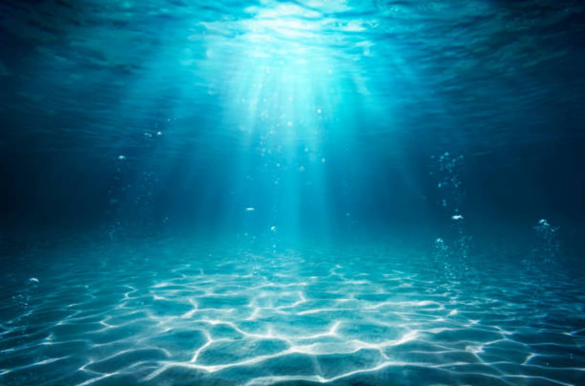 Estos son 5 datos curiosos e interesantes sobre el Mar