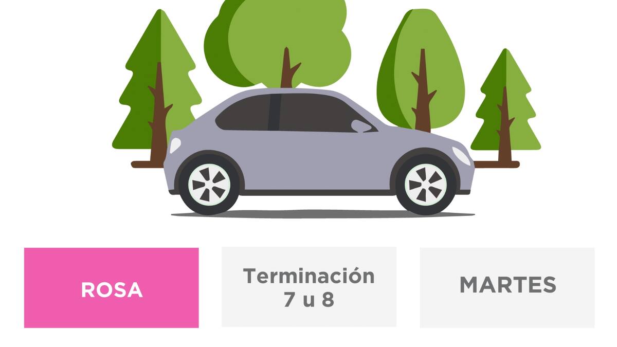Hoy No Circula: hoy 20 de julio para CDMX y EDOMEX