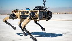 VIDEO: EE.UU. realiza pruebas con "perros robot" para patrullar frontera con México