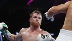 David Faitelson volvió a arremeter contra Saúl "Canelo" Álvarez por estrategia de rivales