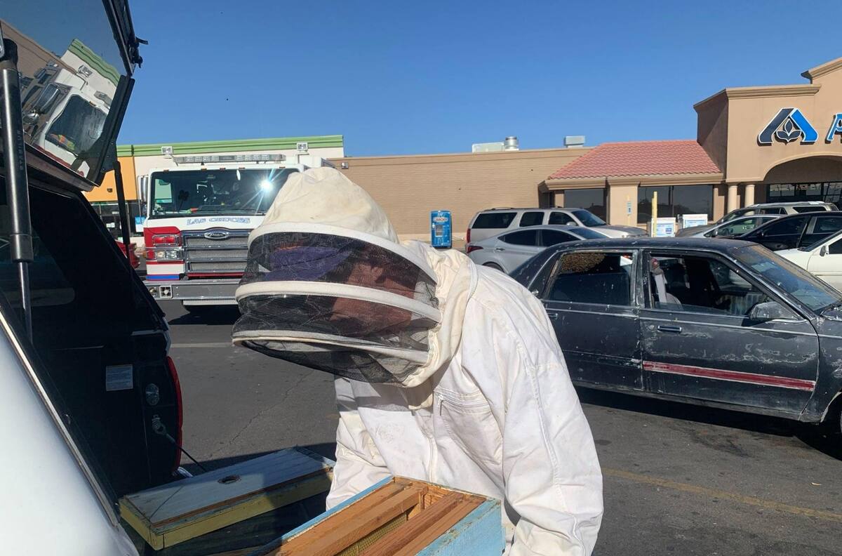 ¡Increíble! "Reviven" a adulto mayor que fue atacado por un enjambre de abejas