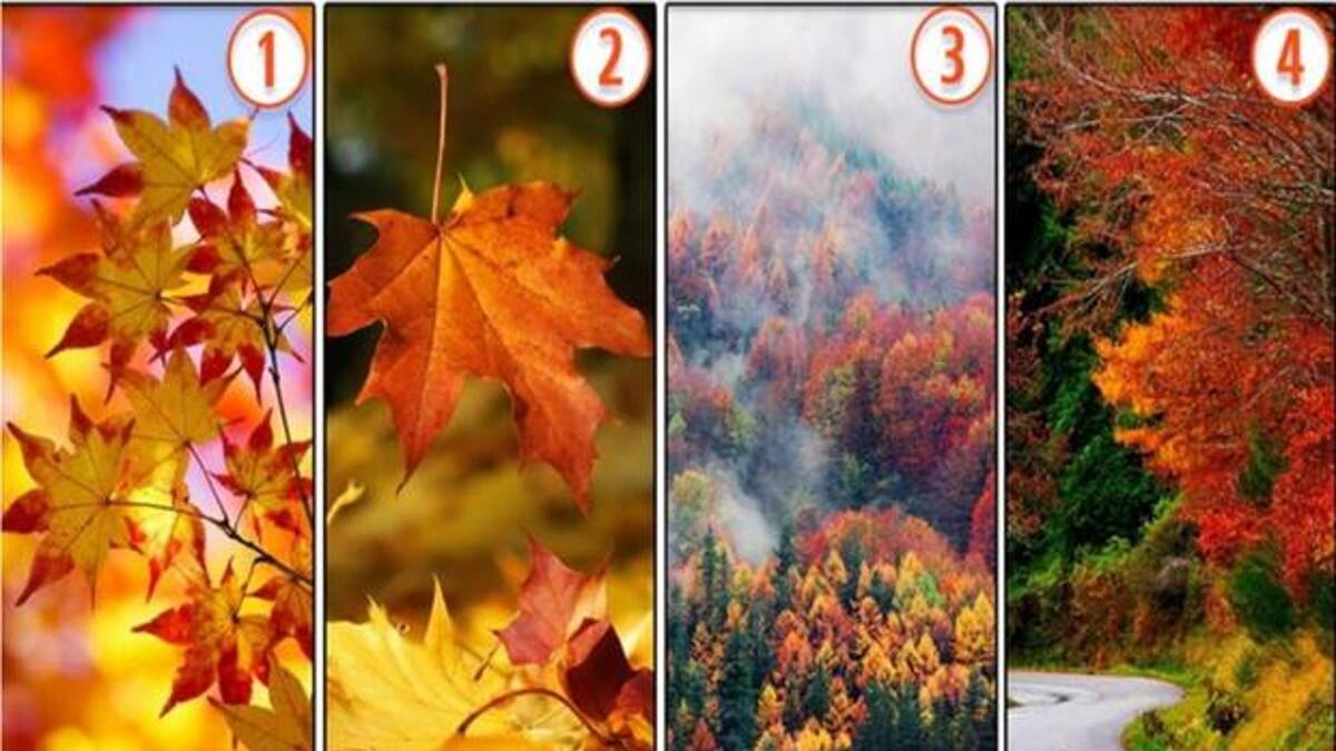 Test de personalidad: Elige tu paisaje de otoño favorito y descubre tu rasgo más oculto