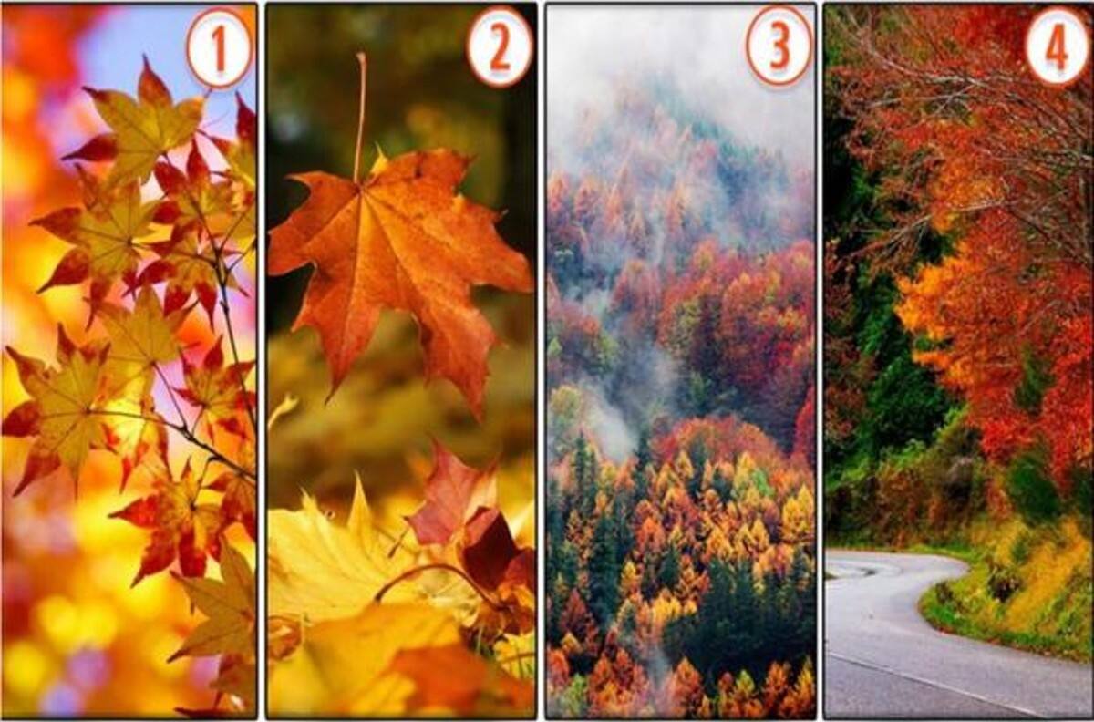 Test de personalidad: Elige tu paisaje de otoño favorito y descubre tu rasgo más oculto