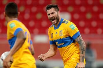 Tigres enfrentará a Palmeiras sin positivos de Covid-19