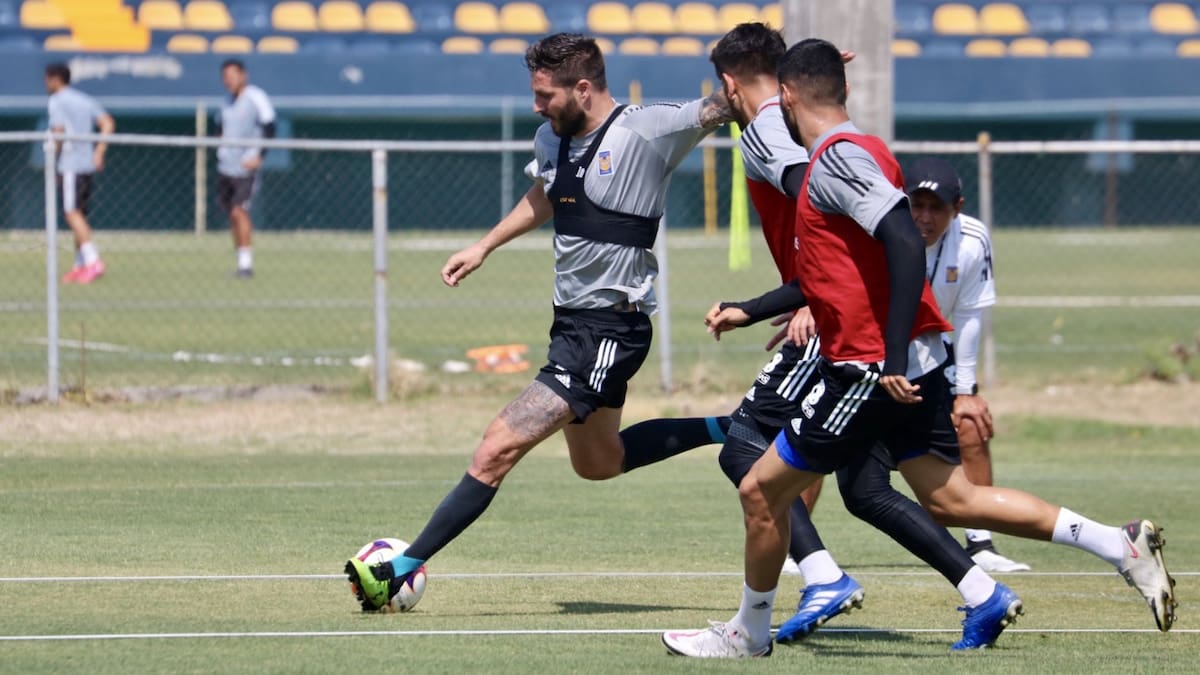 Tigres quiere a dos jugadores de la Liga MX para el siguiente torneo: estas son la opciones