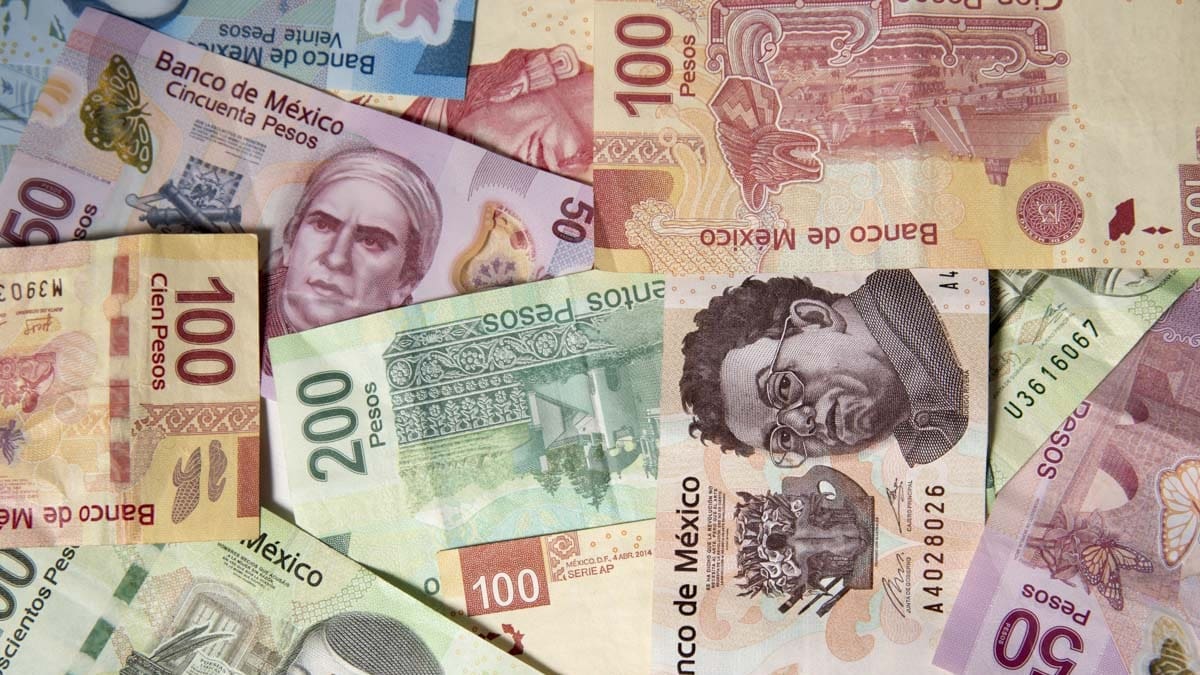 Tandas del Bienestar: Así puedes obtener un préstamo de hasta 51 mil pesos
