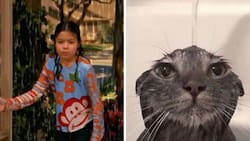 Usuarios reaccionan con memes por la fuerte lluvia antes del concierto de Billie Eilish