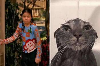 Usuarios reaccionan con memes por la fuerte lluvia antes del concierto de Billie Eilish