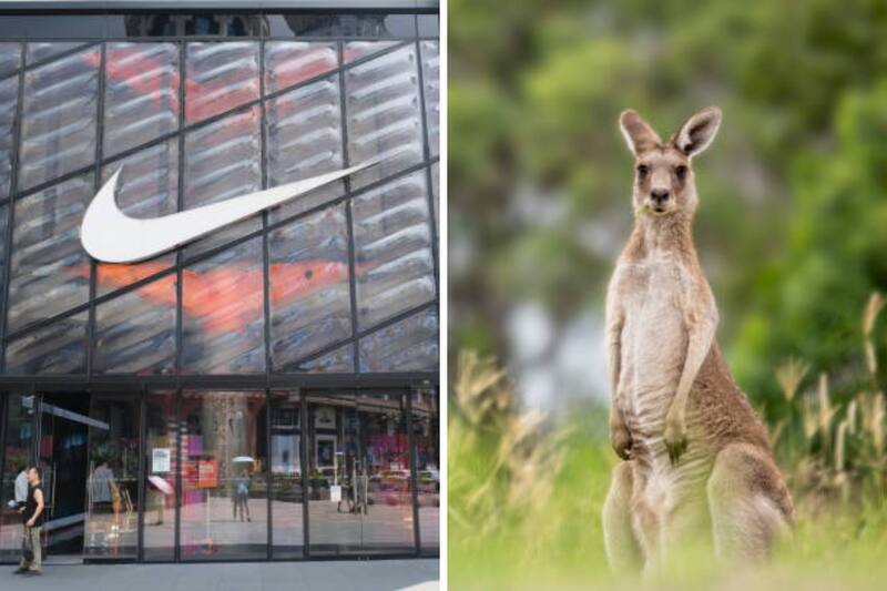 Nike dejará de usar piel de canguros.
