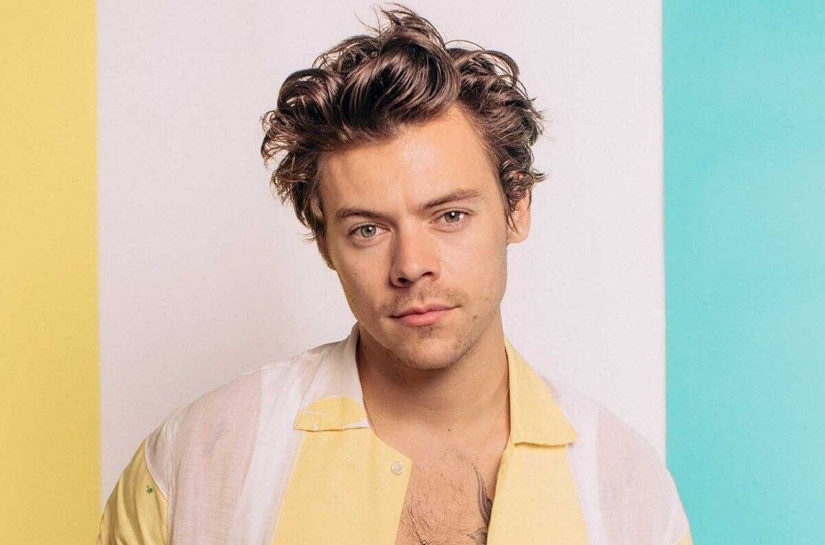 Harry Styles anima a fan a que salga del clóset, esto le dijo