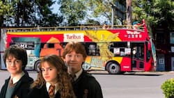 Fans de “Harry Potter”: Turibús tendrá un recorrido temático en CDMX