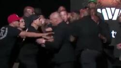 VIDEO | Así fue la pelea campal entre equipos de Jake Paul y Nate Diaz