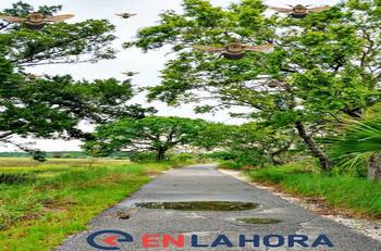 Acertijo visual: Te retamos a encontrar a las 10 abejas ¿Podrás lograrlo?