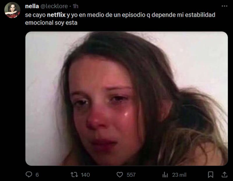 Estos son los mejores memes que dejó la caída de Netflix.