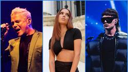 Parrilla diaria Festival de Viña 2024: Cuándo se presentará cada artista en la Quinta Vergara