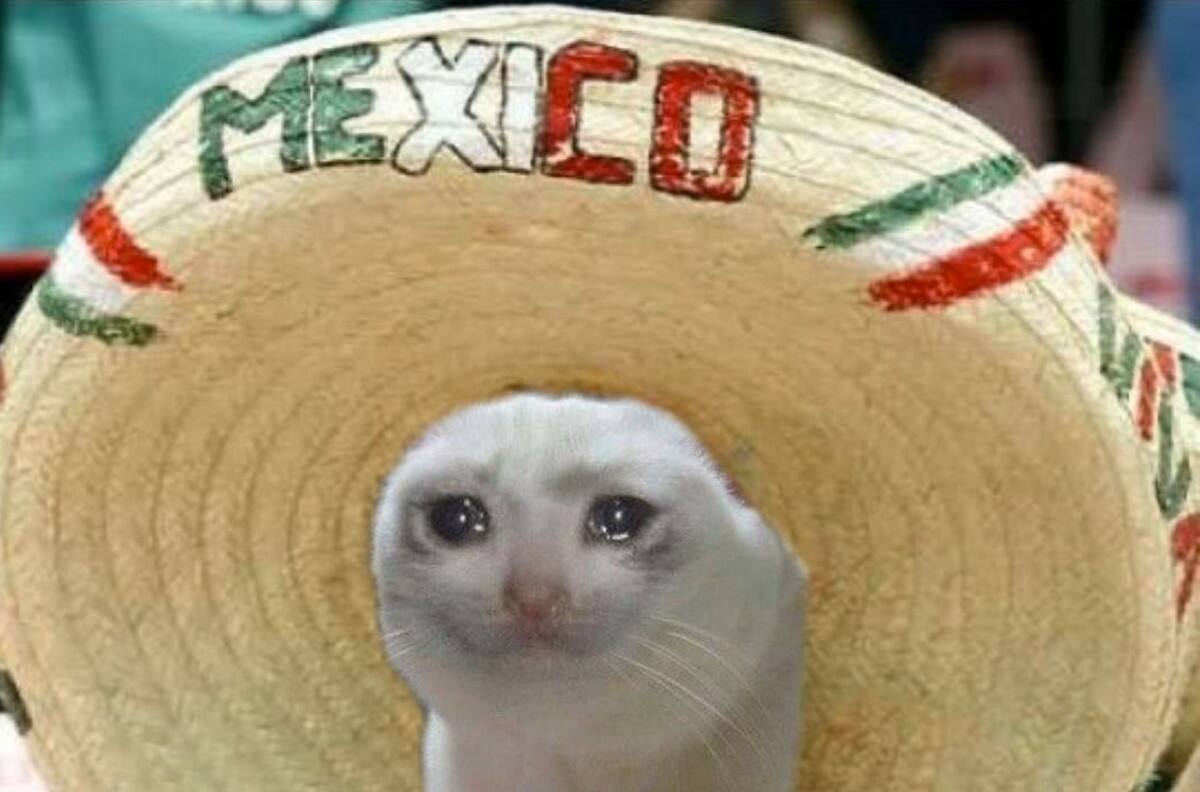 “Sálganse de Twitter”: Así reaccionaron los usuarios luego de la eliminación de México en el Mundial