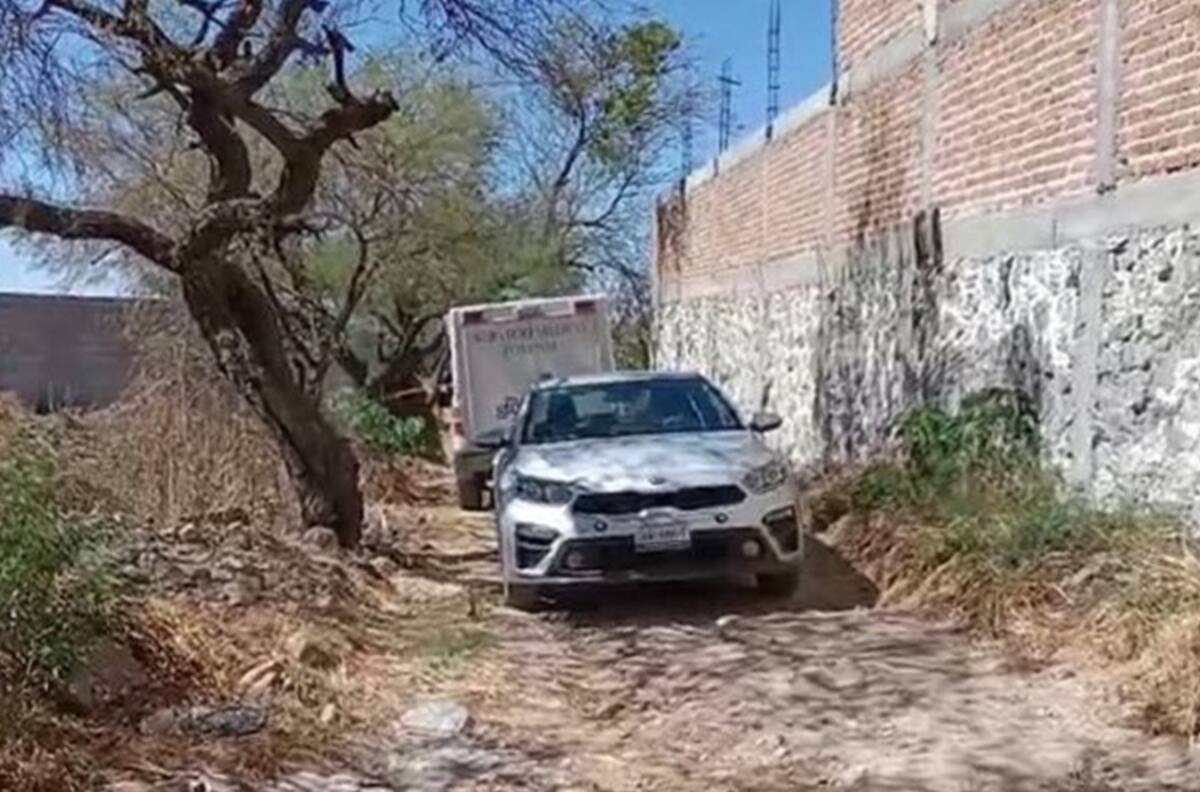 Descubren costales con 2 cuerpos al seguir el rastro de un perro que arrastraba un brazo humano
