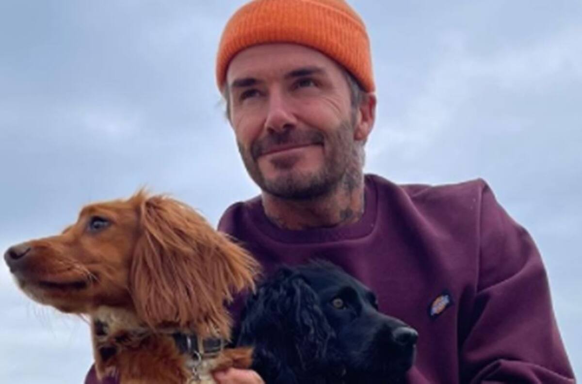 Por error, David Beckham publicó su número de teléfono en redes sociales