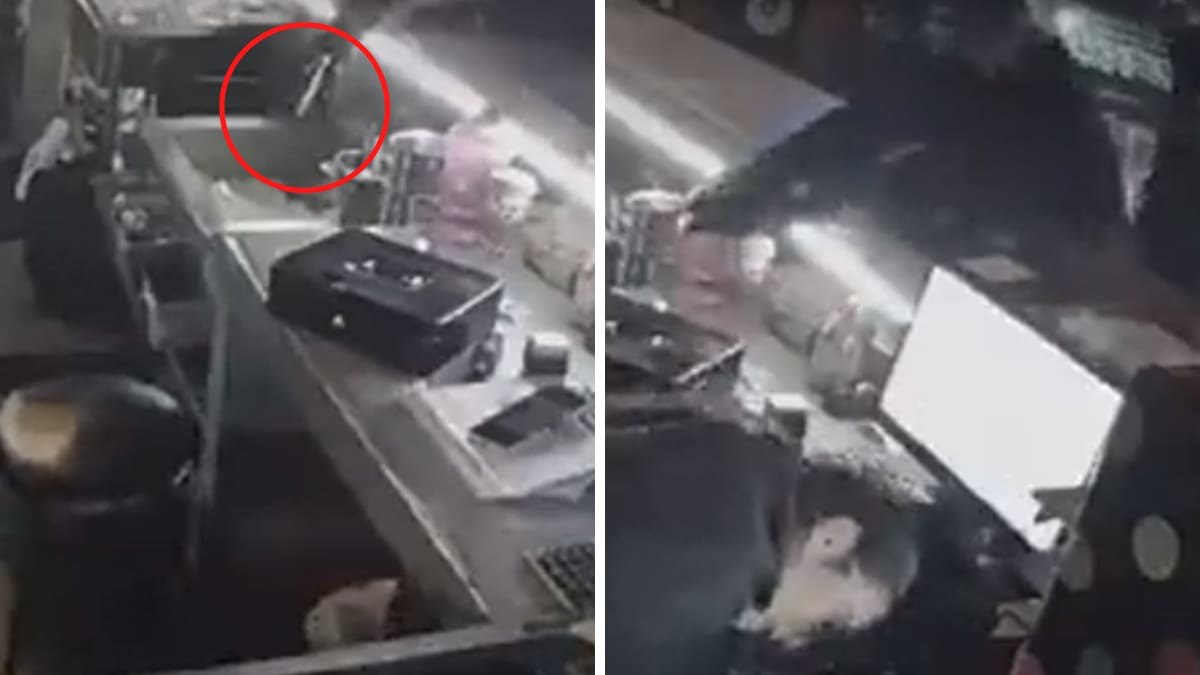 VIDEO| Hombres armados atacan a empleada de un bar en Celaya