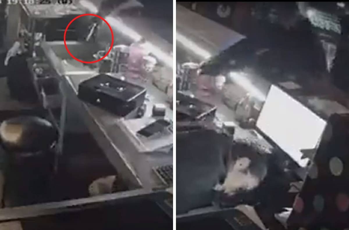 VIDEO| Hombres armados atacan a empleada de un bar en Celaya