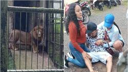 VIDEO | ¡Imágenes fuertes! Hombre intentó acariciar a león y casi pierde un brazo