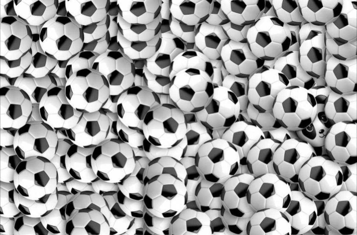 Acertijo visual: Encuentra al osito panda que está escondido entre los balones