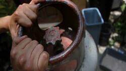 Sube el gas LP: consulta los precios promedio en México para la semana del 14 al 20 de febrero