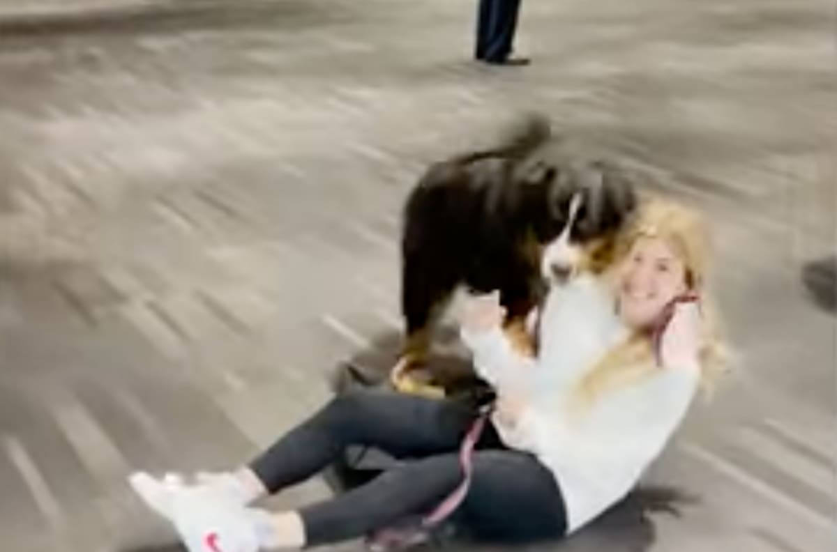 La conexión entre humana y perrita: can abrazó y se lanzó encima de su dueña tras reencontrarse con ella después de un mes
