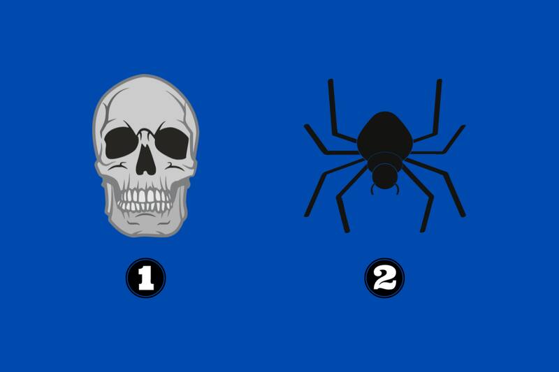 Elige entre la calavera y la araña y descubre qué dice de ti.