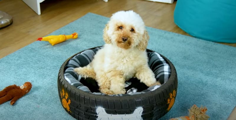 Los neuméticos viejos y usados pueden tener una segunda vida | Foto: Youtube Tipo Listo