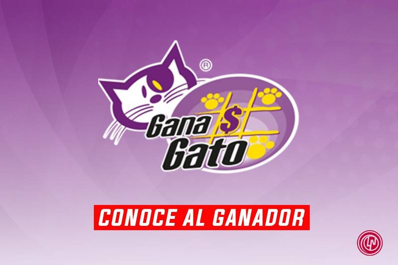 Sorteo gana gato 7 de febrero 2023