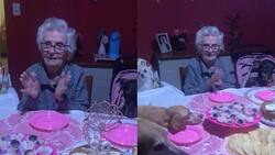 VIDEO | Abuelita celebra su cumpleaños 89 en compañía de sus perros y se vuelve viral