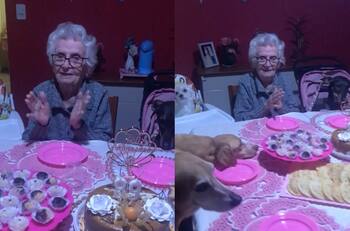 VIDEO | Abuelita celebra su cumpleaños 89 en compañía de sus perros y se vuelve viral