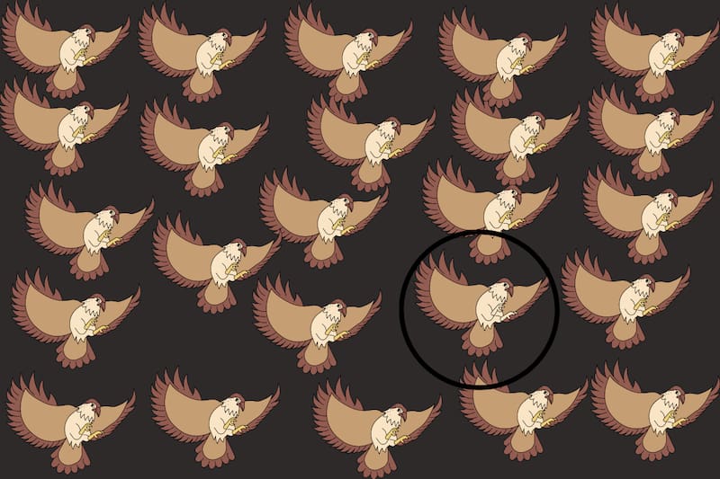 Aquí estaba el halcón impostor. ¿Fuiste capaz de encontrarlo en menos de 10 segundos?