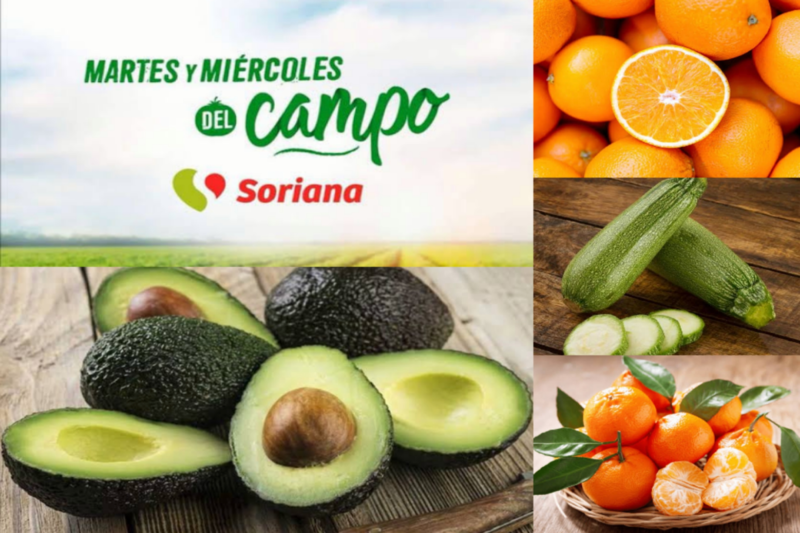 Aprovecha y no te quedes sin probar los mejores productos de temporada.