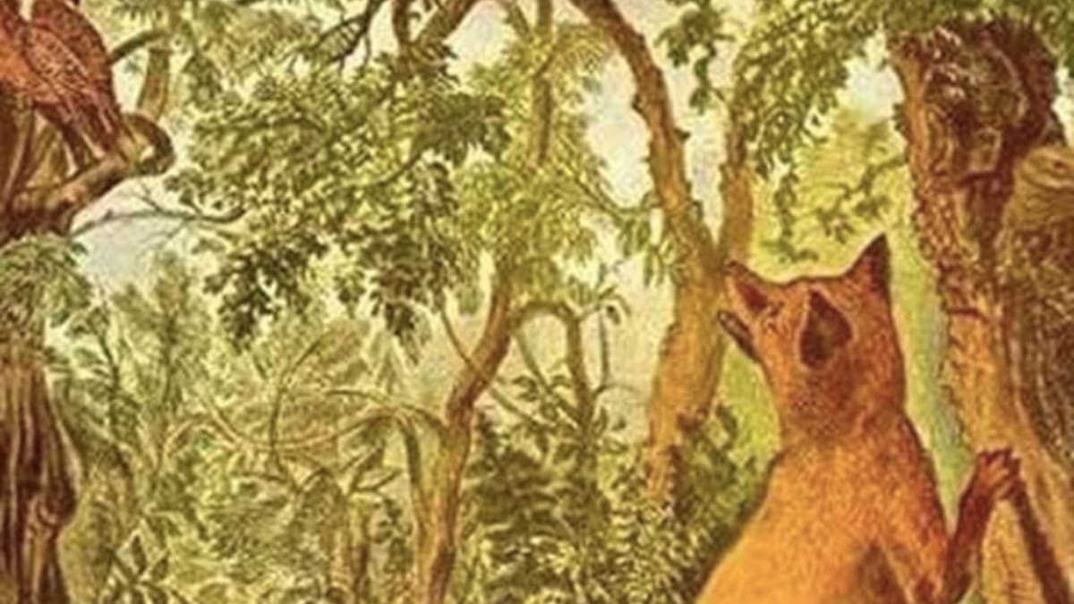 Acertijo visual: Descubre al animal escondido en la selva