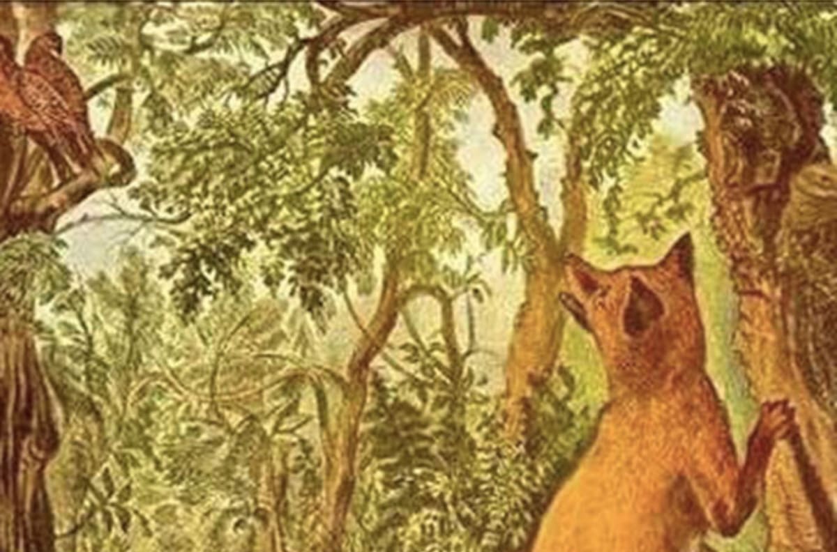 Acertijo visual: Descubre al animal escondido en la selva