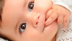 Maternidad: ¿Es bueno que mi bebé se chupe el dedo?