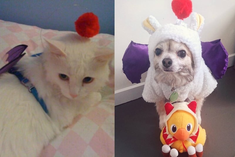 Mascotas con disfraces de Final Fantasy.