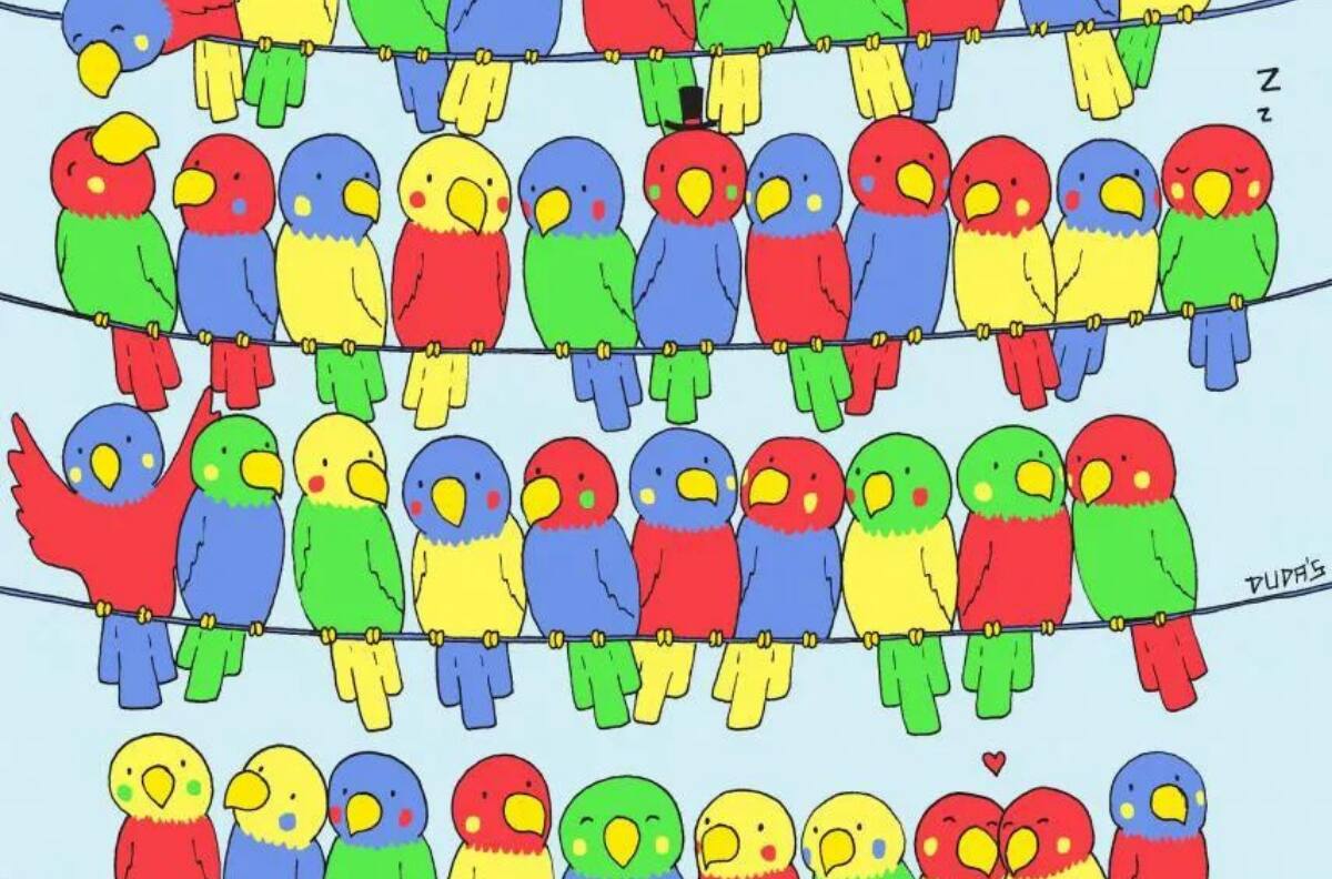Acertijo visual: Encuentra en 40 segundos al loro que no tiene pareja