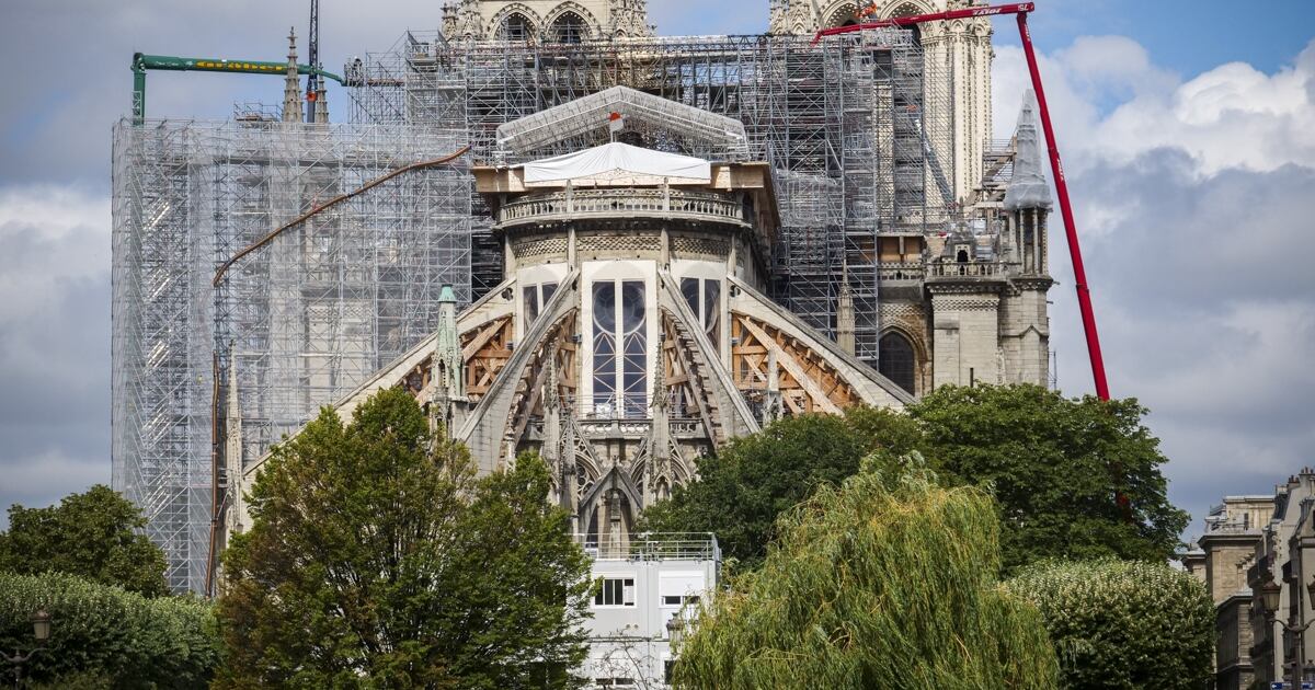 ¿Sacrificio por la cultura ?: talarán un millar de árboles para la ...